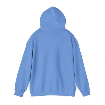 "Synester Nightwing Hoodie"