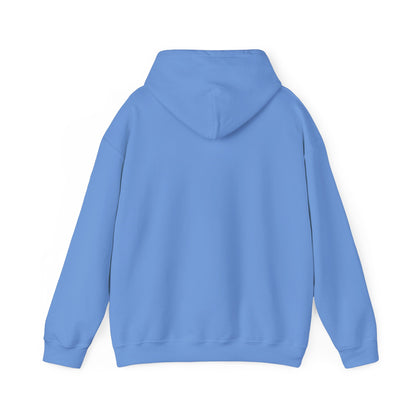 "Synester Nightwing Hoodie"